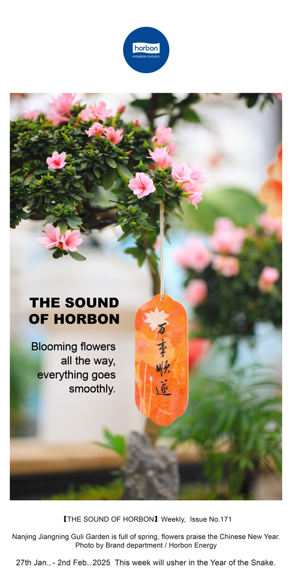 ����֮����(�ܵ�171�ڣ�һ������������������˳��������Ӣ�ĵ�������������.jpg