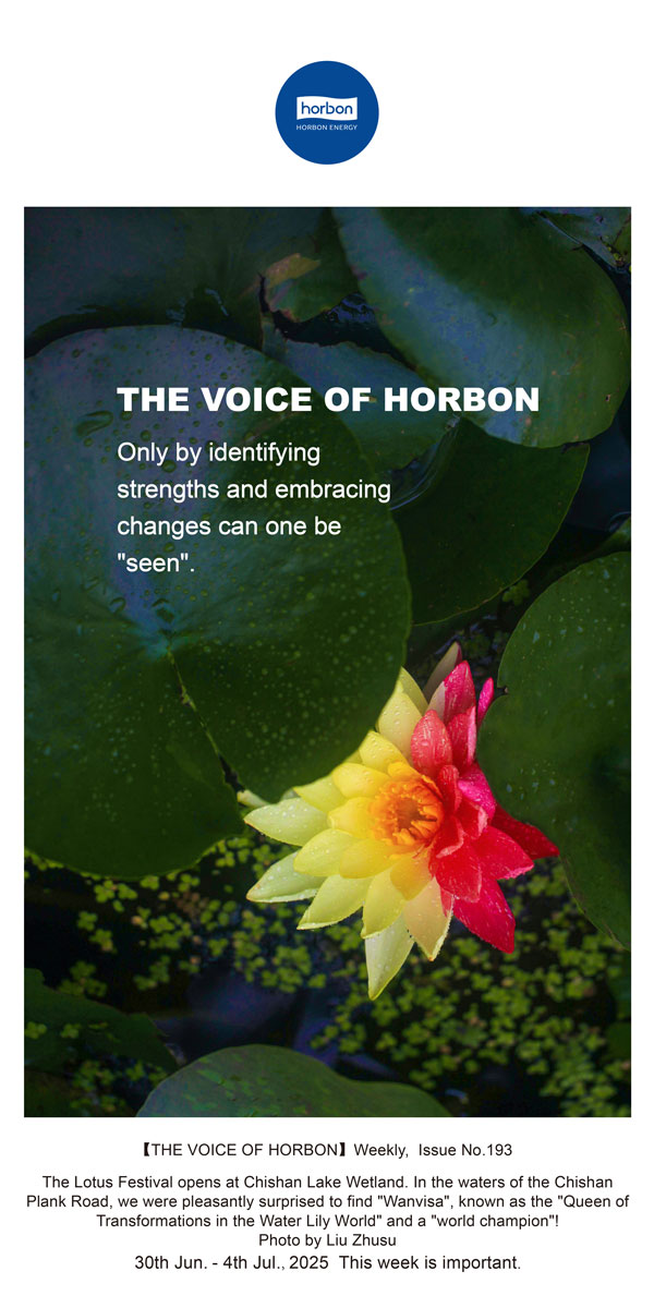 ����֮������׼���ơ�ӵ��ת�������Ż���������������������(�ܵ�193�ڣ�--2025.6Ӣ�ĵ�������������.jpg