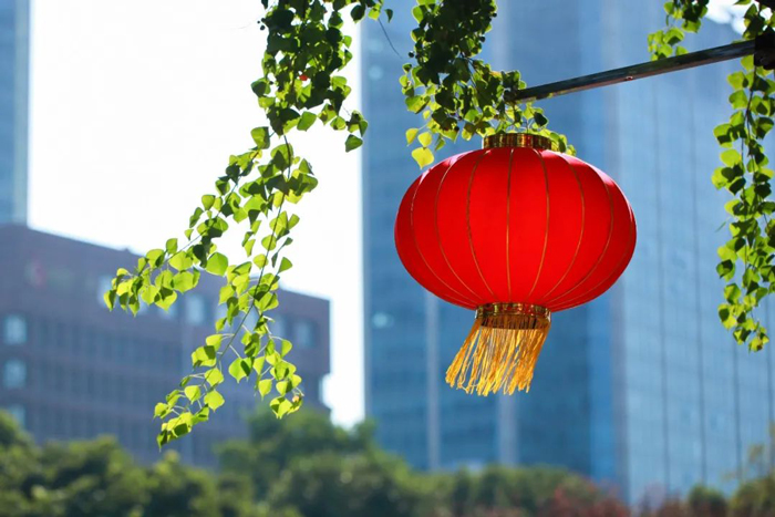 1650782930561613mOCi.jpg 28.jpg