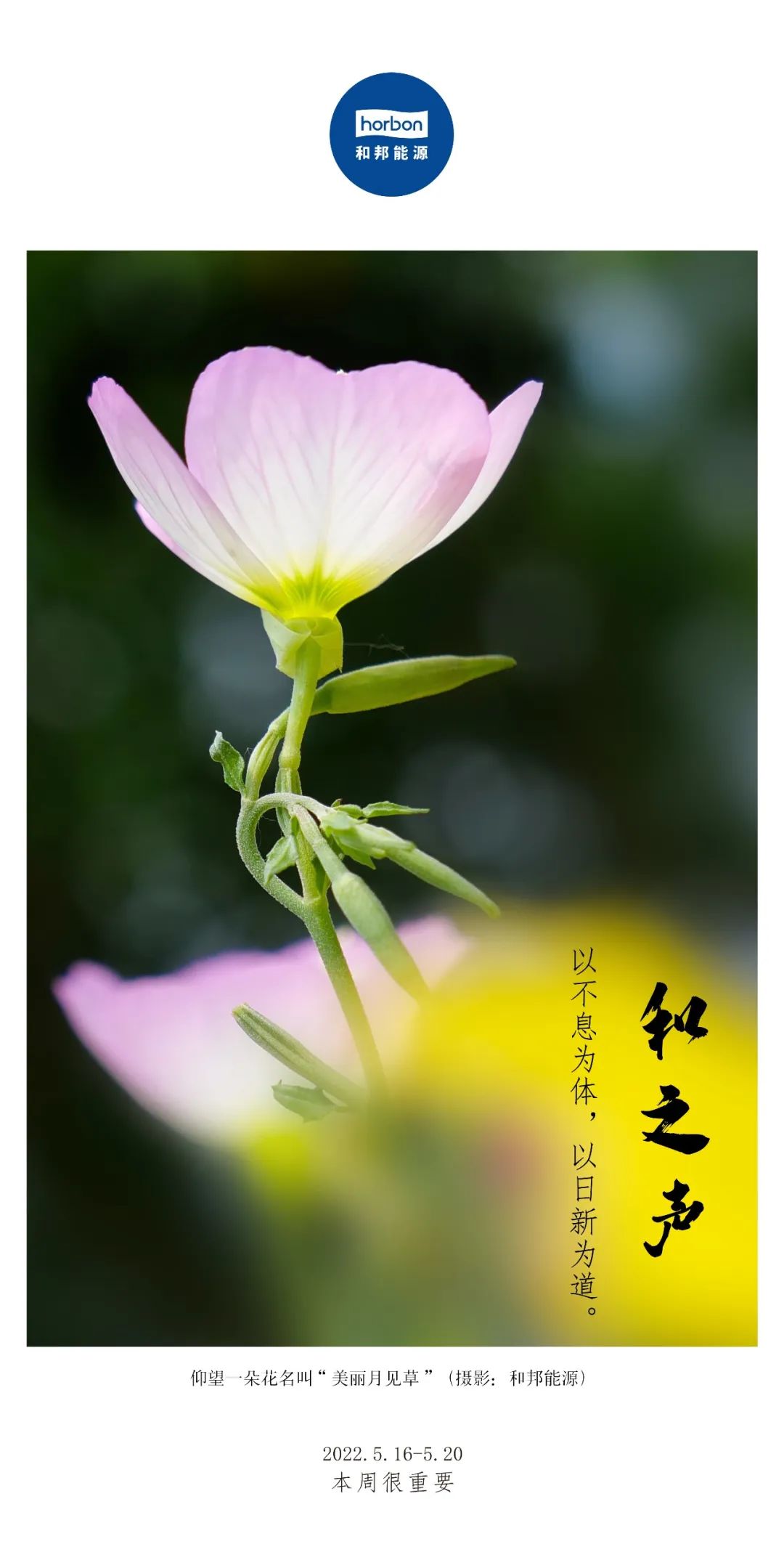 1657000808102491m4z4.jpg 1657000808102491m4z4.jpg