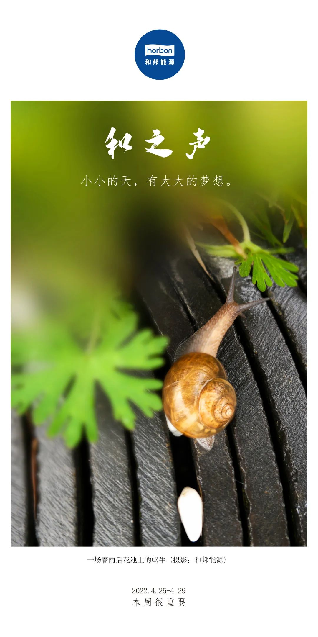 1657002576325061CLQK.jpg 1657002576325061CLQK.jpg