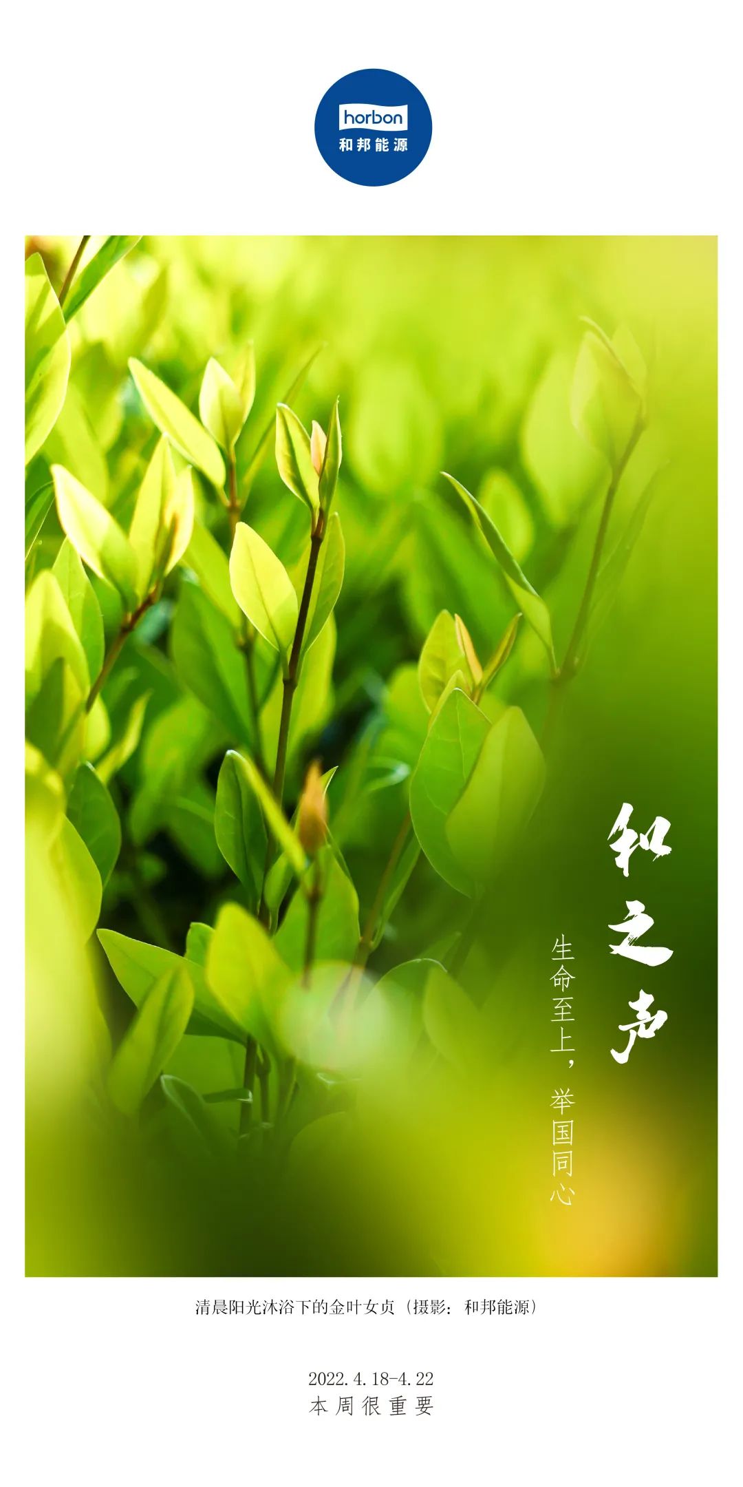 1657002837137313ygov.jpg 1657002837137313ygov.jpg