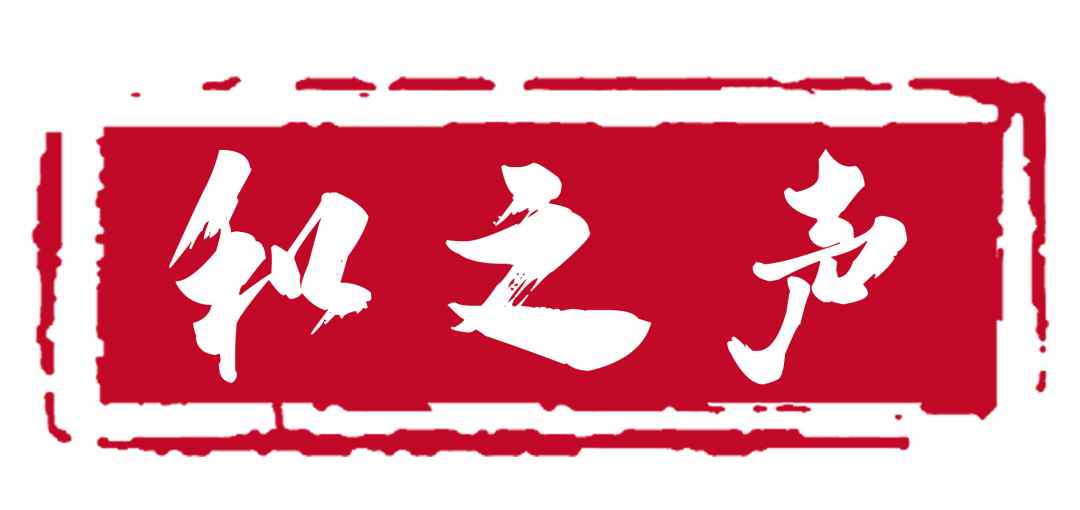 1657004229641566rSbA.png 1657004229641566rSbA.png