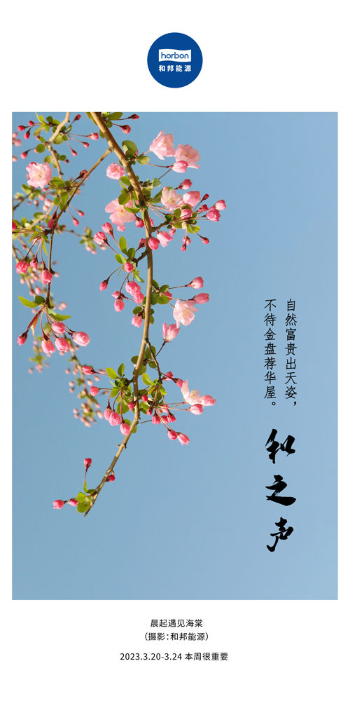 1680577238854280Xfna.jpg 74-ºÍÖ®Éù£¨±¾ÖܺÜÖ÷Òª£©2022.3¼¾¶ÈÍÆËÍÓÃ.jpg