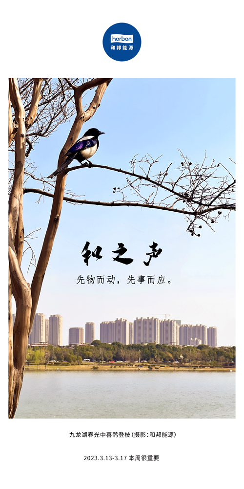 1680578197493162ntoz.jpg 73-ºÍÖ®Éù£¨±¾ÖܺÜÖ÷Òª£©2022.3¼¾¶ÈÍÆËÍËÍÓÃ.jpg