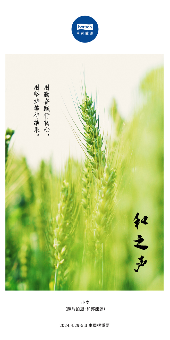 ����֮���������ͼ��г��������������ü���ڴ�Ч�������������ܵ�132�ڣ�2024.4.29-5���ĸ�С����������.jpg