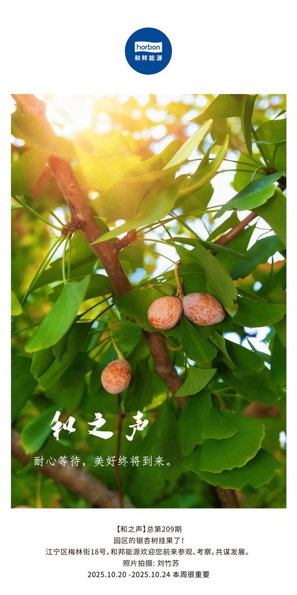 ����֮���������ڴ������������ս���������������-(�ܵ�209�ڣ�2025.10.20���ĵ�������������.jpg